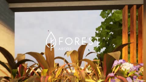 Mono ambiente Forest Arcos - Un mono ambiente divisible diferente