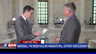 Sen. Marshall: The Biden vaccine mandate will destroy our economy