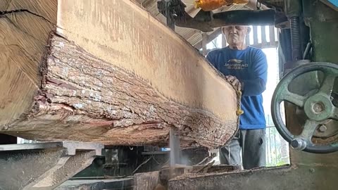 Big And Hard, Acacia Wood At The Sawmill Woodworking Sawmill Factory Asmr