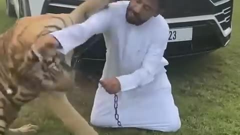 Dubai_sheikh_playing_with_his_Lion_and_Cheetah____Dubai_life_style(480p)
