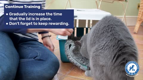 How training your cat