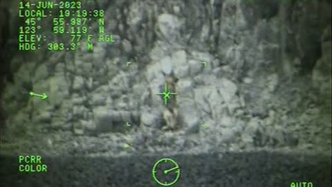 Coast Guard Saves German Shepherd