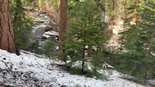 Ascending the Snowy Forest – Whychus Creek – Central Oregon