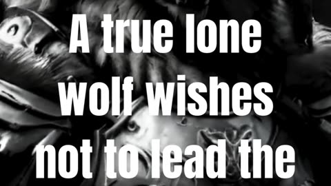 Motivation: The wish of a lone wolf 🐺