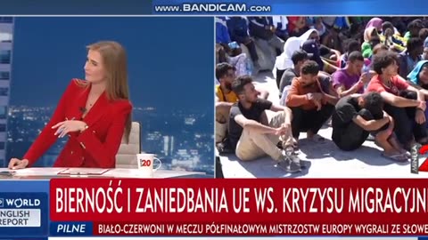 Zagłuszanie afery wizowej w TVP