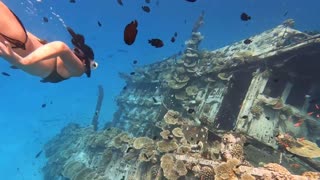 Maldivas - Ship Wreck Tour