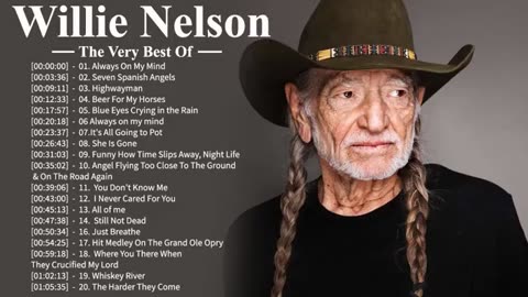 Willy F'n Nelson