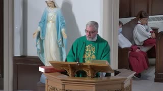 13th Sunday after Pentecost - Homily