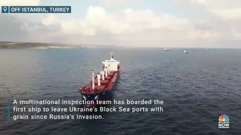 Ship Carrying Grain From Ukraine Stopped For Checks Off Istanbul