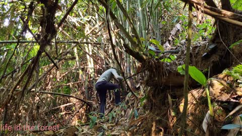 Life In The Forest,How To Bring Water Back, Build Outdoor Bath House 2022