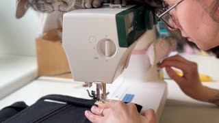 Cat Supervises Sewing