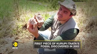 Kurupi Itaata- A New dinosaur species discovered in Brazil | WION English News