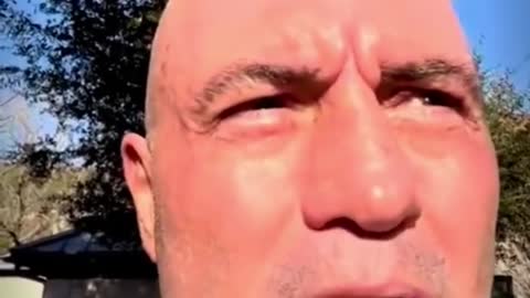 Joe Rogan Clarifies His Position On Delete Spotify Controversy, Neil Young & Misinformation