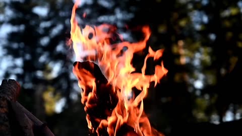 Blazing Harmony: Campfire's Dance of Fire
