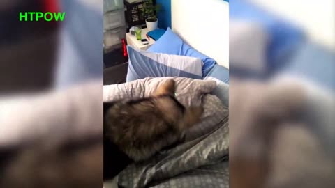 The funny way to wake somebody up