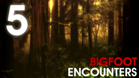 5 TRUE SCARY BIGFOOT ENCOUNTERS (Sasquatch, Bigfoot) - What Lurks Beneath