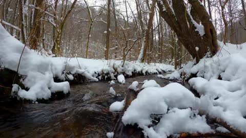 A Winter Wonderland: Experience the Relaxing Effects of White Noise, Meditation, and River Sound