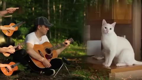 Mama Cat Song - The Singing Cat Catchy Tune Mama Cat Song - The Singing Cat Catchy Tune