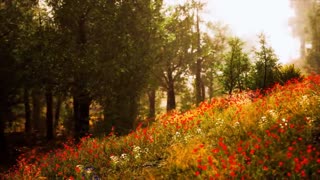 Enchanting Autumn Forests with Beautiful Piano Music