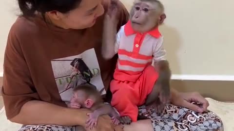 Smart monkey