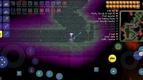 Terraria completely explored Dungeon