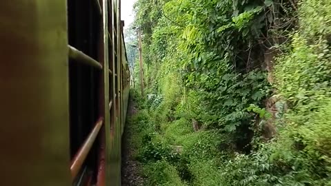 Indian train journey