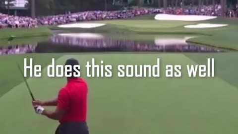 Clutch shot from the GOAT - Tiger Woods #golf #clutch #shot #tiger #woods #green #fairway #flawless