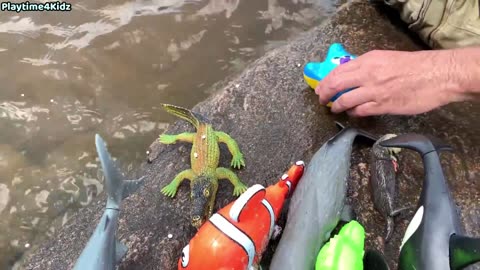 Sea Animal Toys This Summer at the Shore