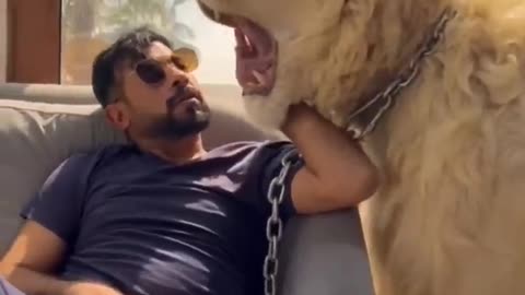 Sheikh Nawab With White Tiger