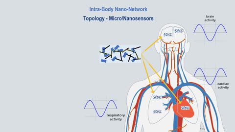 (IoB) Intracorporeal Communications Network. Intra Body Nano Network Topology