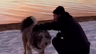 a man and his best friend