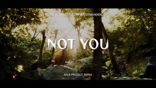 Alan Walker - NOT YOU (Nick Project Remix)