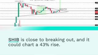 Shiba Inu (SHIB) Break From Bitcoin Signals Market Strength