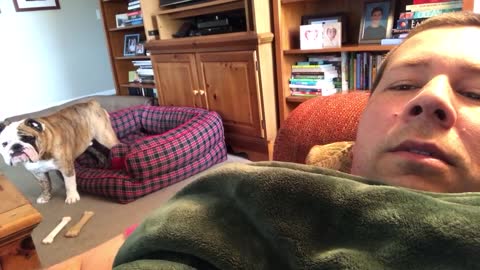 Dog Has A Loud Reaction When His Couch Privileges Are Denied
