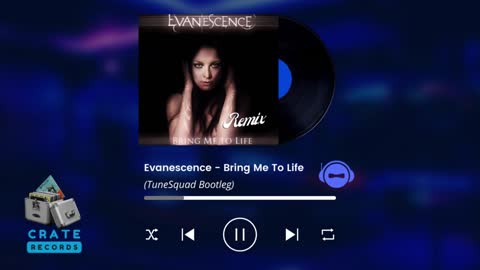 Evanescence - Bring Me To Life (TuneSquad Bootleg)