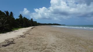 Tropical North Queensland Beach