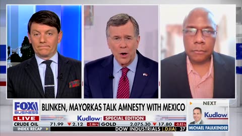 Fox Business Guest Says Dems Using Border Crisis To 'Import Their Future Margin Of Victory'