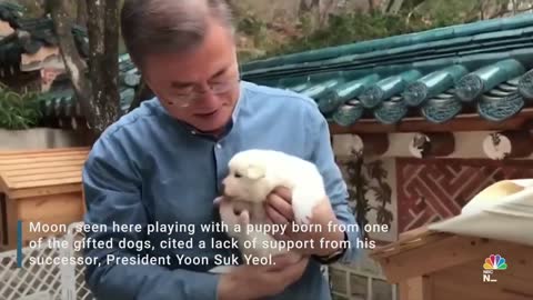 Ex-South Korean Leader To Give Up Dogs Given By North Korea's Kim