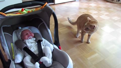 Cats meeting kids for the first time