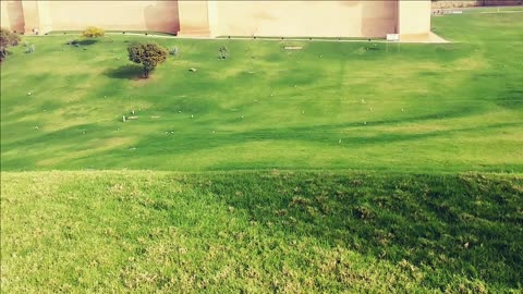 Greenery in Rabat City of Lights/ Necropolis Chellah