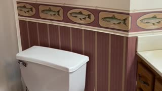 Decorating The Bathroom For Halloween