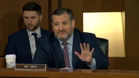 Ted Cruz HAMMERS Assistant AG For NEGLIGENCE On BLM Riots