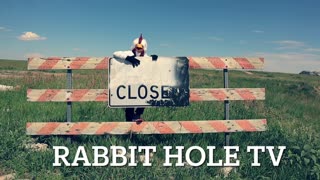 Unveiling,Thrilling Dimensions of Rabbit Hole TV with Stunt Chicken