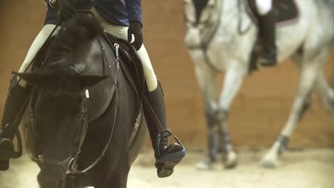 Riders on the horses in the equestrian arena