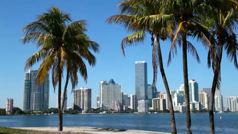 Miami and Florida #41
