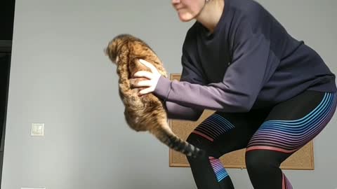 Catching a Cat in Roller Skates