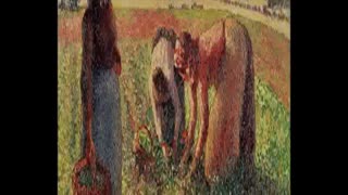 Old World Agriculture Pea Landraces