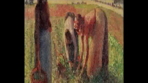 Old World Agriculture Pea Landraces