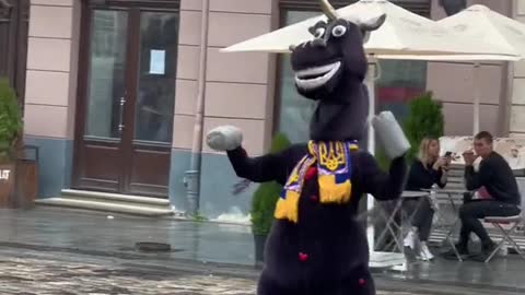 Donkey dancing in Ukraine