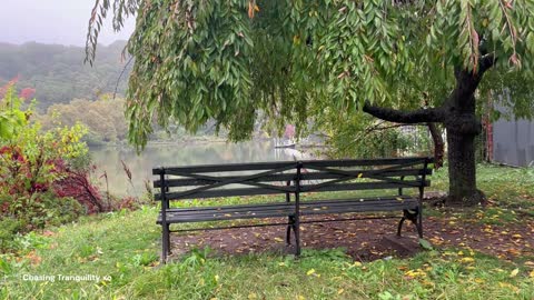 NYC Park Bench - 3 Minutes of Tranquility